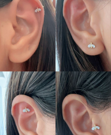 Timeless essentials Bee Ear Studs