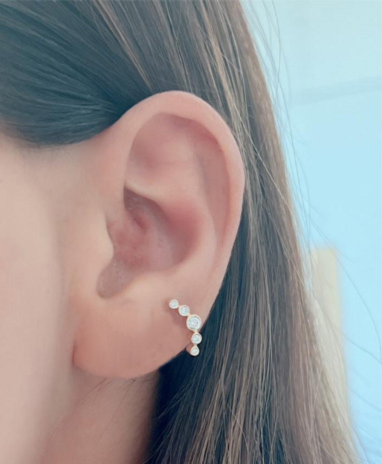 Timeless essentials 5 Diamonds Bezel Earring