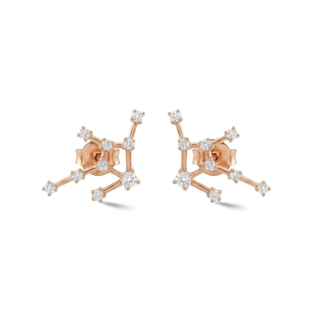 Zodiac Constellation Earrings