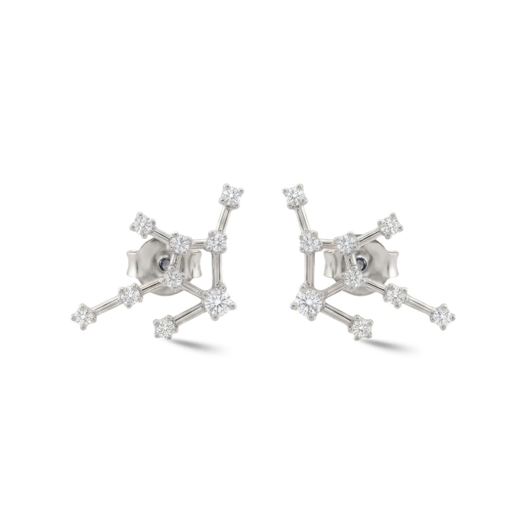Zodiac Constellation Earrings