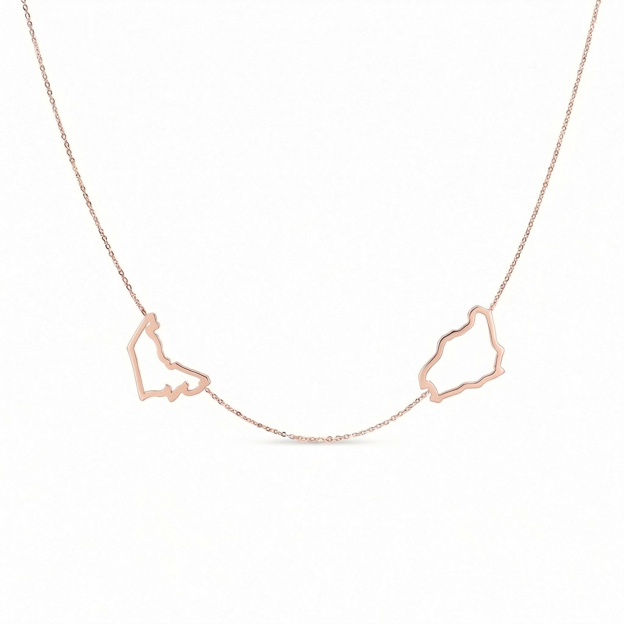 World Roots Necklace (Personalize with Any Countries)