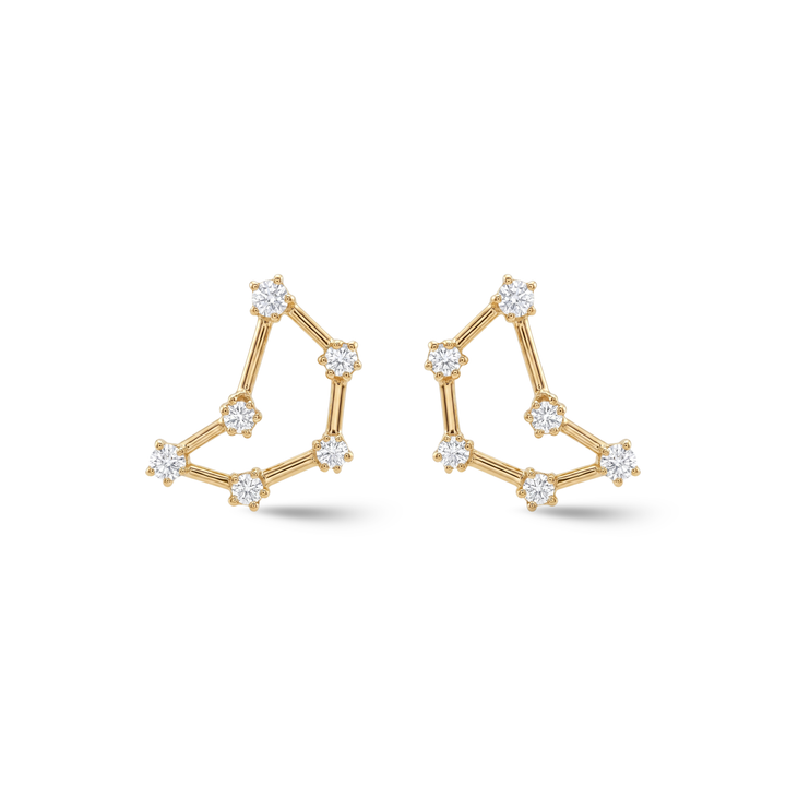 Zodiac Constellation Earrings