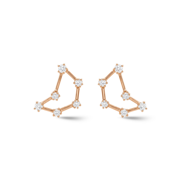 Zodiac Constellation Earrings