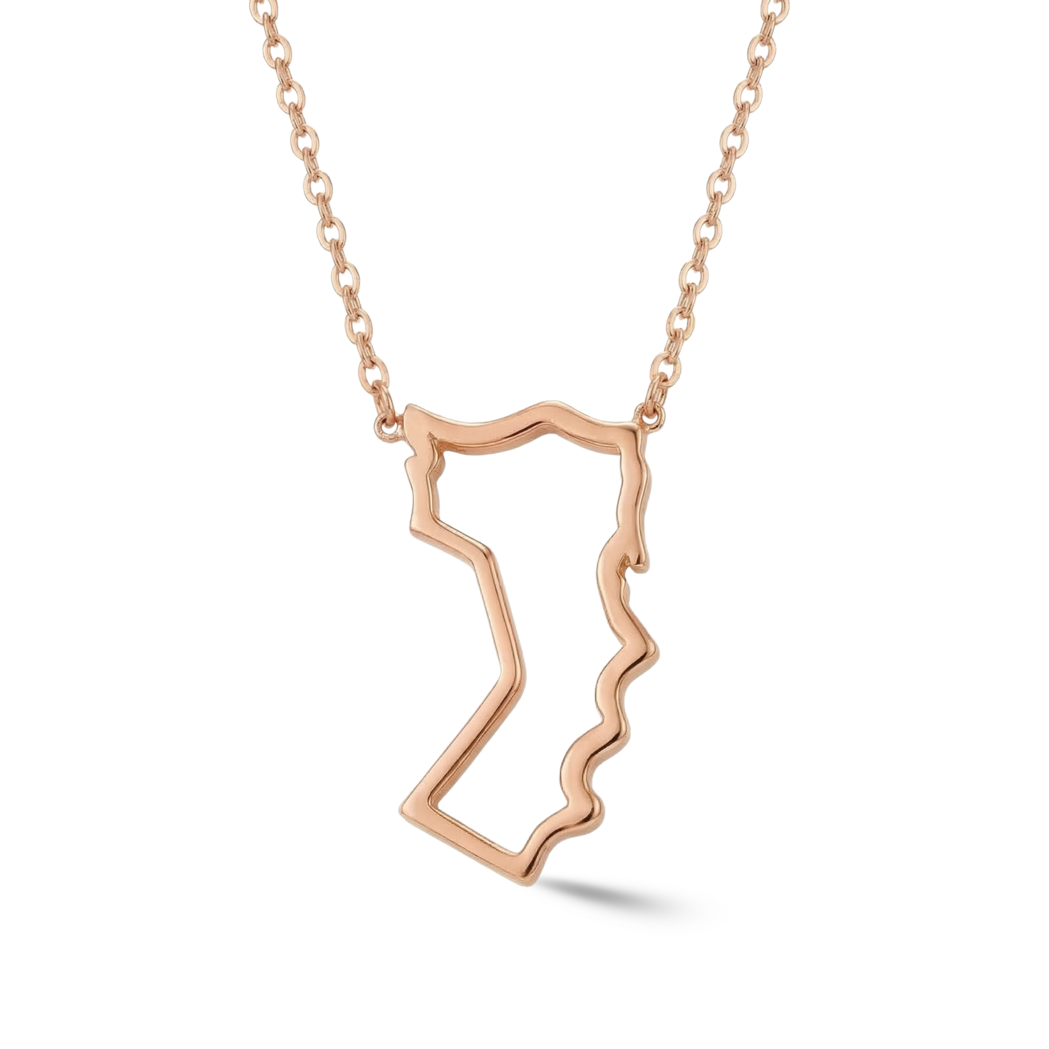 World Roots Necklace (Personalize with Any Countries)