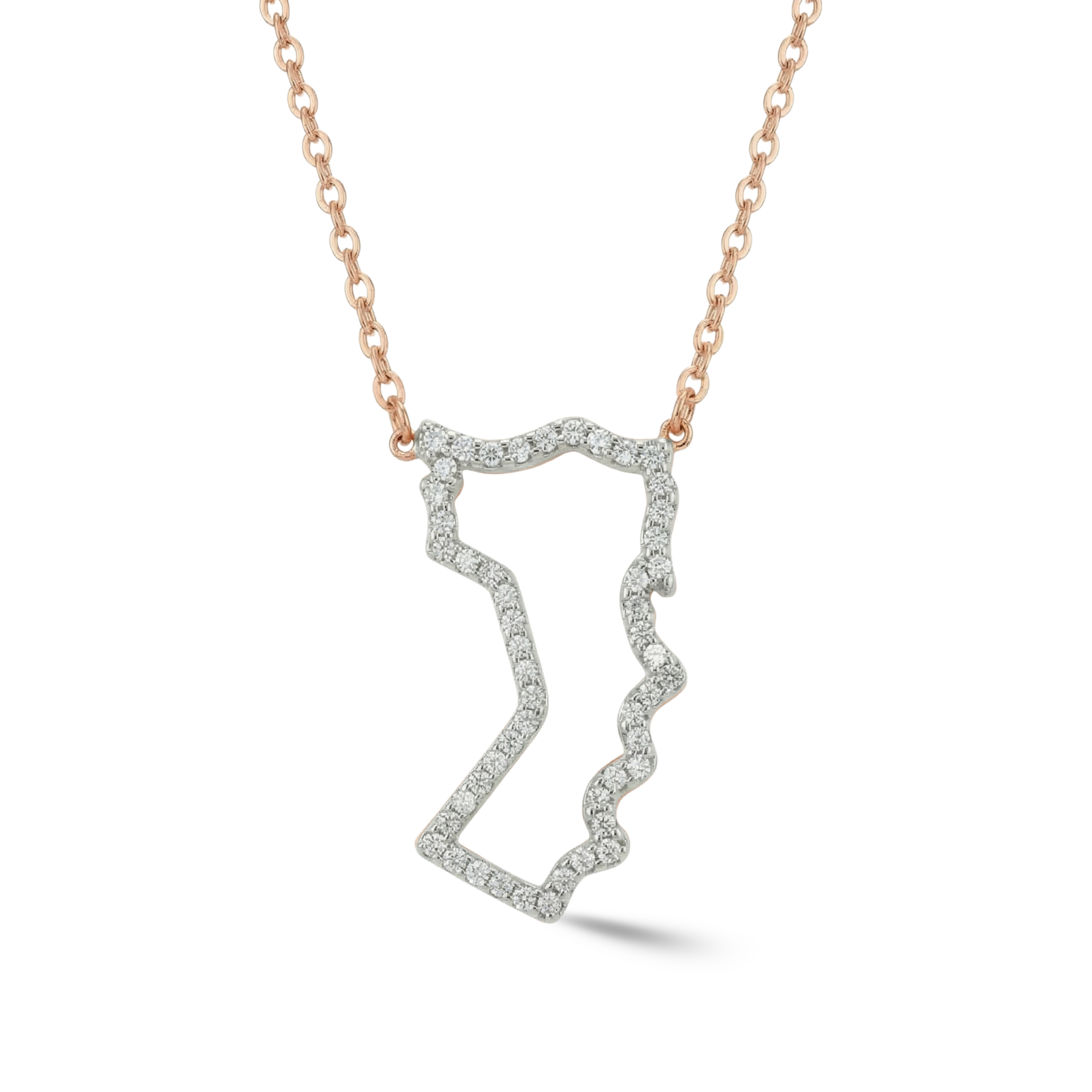 World Roots Necklace (Personalize with Any Countries)